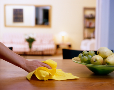 residential cleaning business