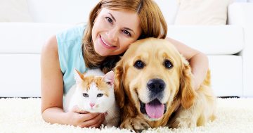 pet sitting business